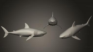 3D model shark (STL)